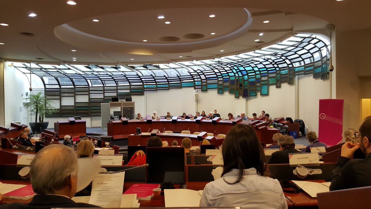 Session du conseil culturel de Bretagne ! #kendalch.