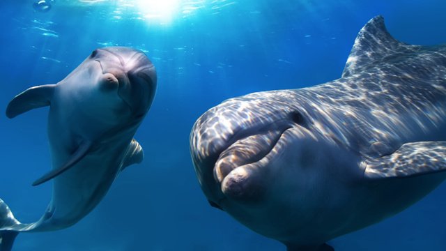 Natural Health tweet media