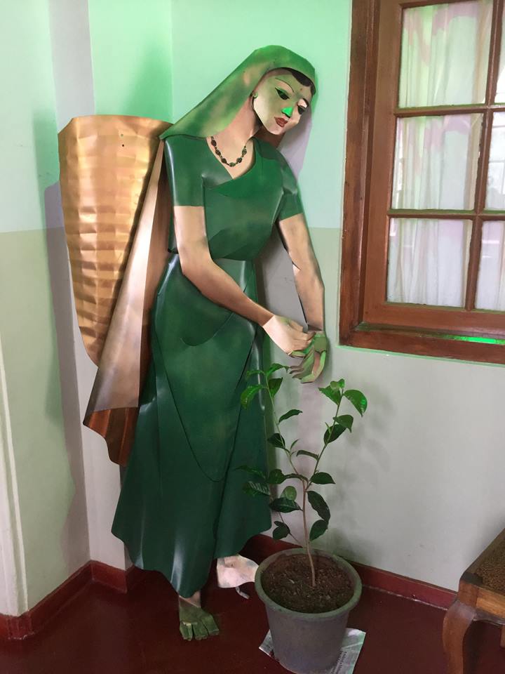 SerendipiTeaUSA's tweet photo. Today, we visit the Ceylon Tea Museum in Sri Lanka #teapicker #tea #ceylonteamuseum #SriLanka #TravelforTea https://t.co/qsnkKwxmMV