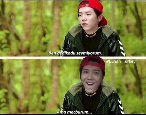 Luhan_Turkey's tweet photo. [Luhan #TürkOlsaydı] 

"Mecburiyetten" dedikodu yapardı... https://t.co/eblQVeWZUb