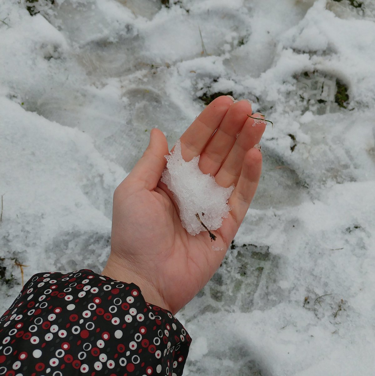 #Sabado #Sabadete!!Días de #invierno y #nieve!!Hoy de #turismo por @hoyodeManzanare.#FelizFinde!!