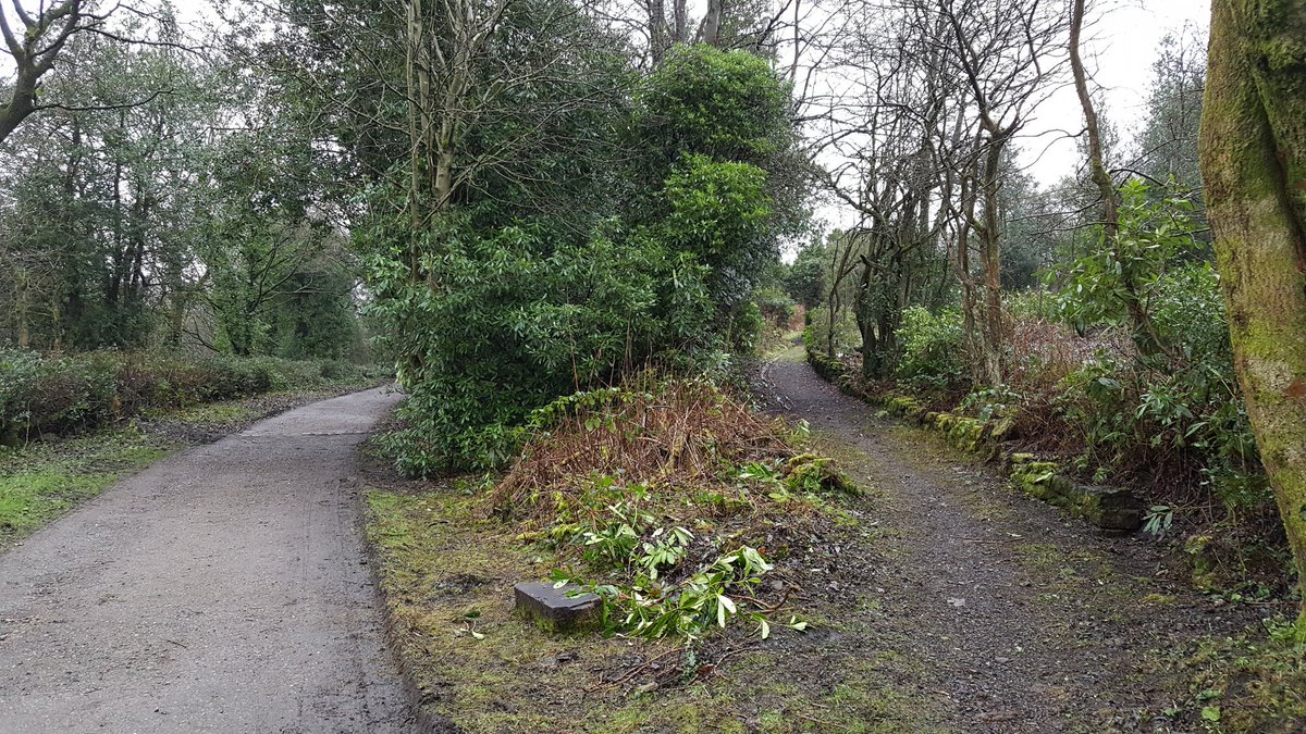 Sykesy79's tweet photo. Nice walk round #gorsehall #stalybridge https://t.co/5afmSZTh71