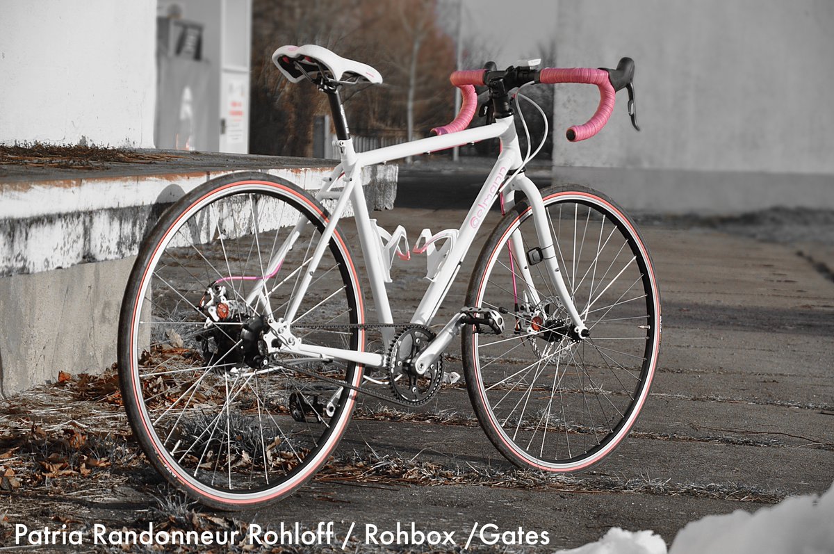 randonneur rohloff