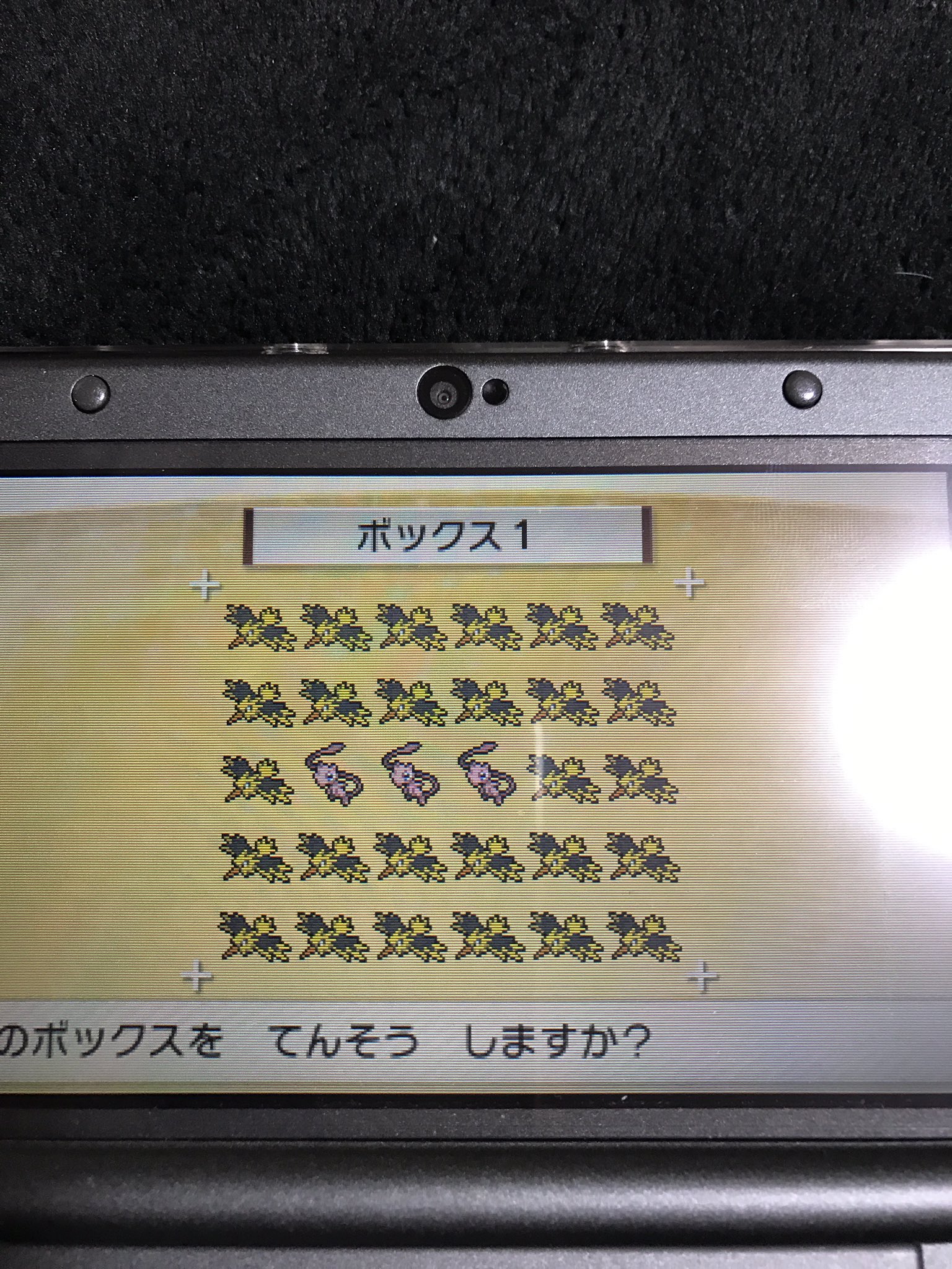 井出 尊 ポケモンピカチュウでバグから生まれたミュウ ポケムーバーに弾かれる 問題のあるポケモン って ポケモン サンムーン ポケモンバンク T Co Rawprdsrnr Twitter