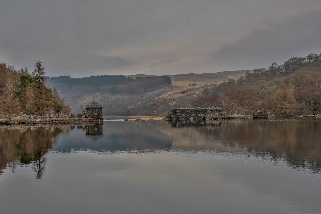 ItsYourWales's tweet photo. Its just all #welshtranquility at Dolymynach - The Elan Valley - perfect for nature, walking, relaxing, reflecting @TheElanValley https://t.co/IeEJl11s3V