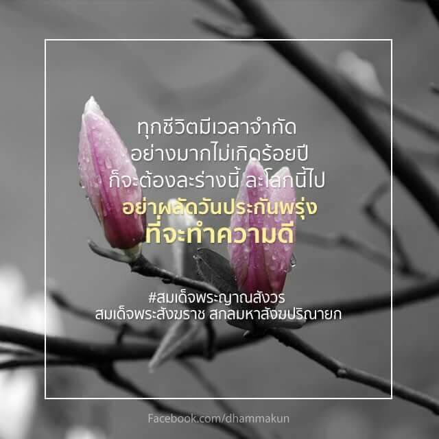 akecool3 tweet picture