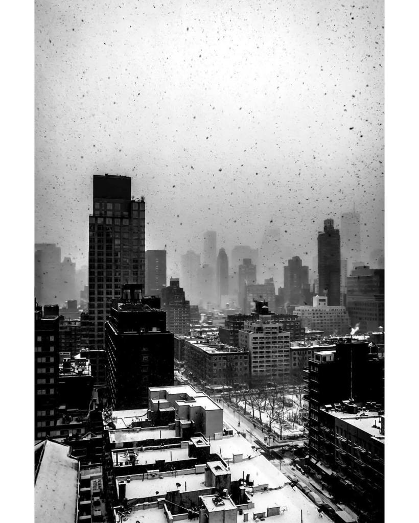 gmlpontes's tweet photo. @leicacamerausa @leicahunter @leica_camera @frickcollection #blackandwhite #arte #snow #ny… https://t.co/YfdKTDJmPb https://t.co/KnkZeu5ABx
