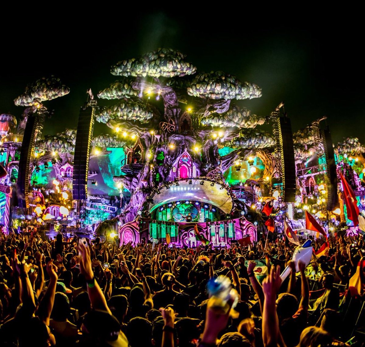 ArnoutBartels tweet media