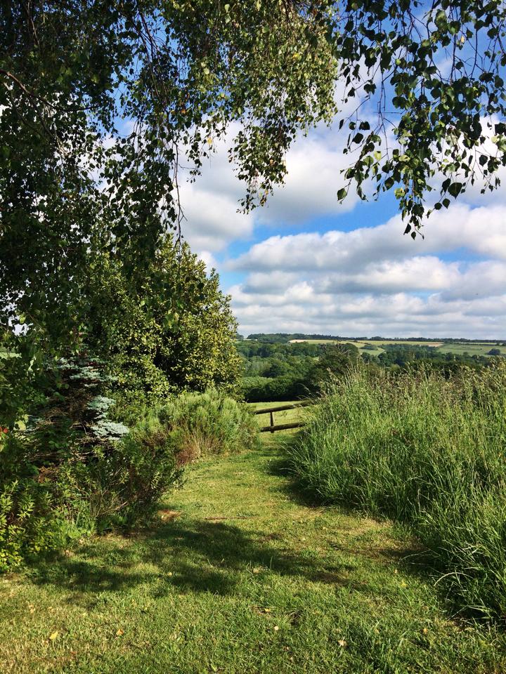 GoldhillOrganic's tweet photo. Guest blogger Tom from @DorsetAONB explaining their work and projects with @DorsetFoodDrink @Fingerpostsigns #Dorset https://t.co/hKBPkZhrXk https://t.co/qTeENmRDDX