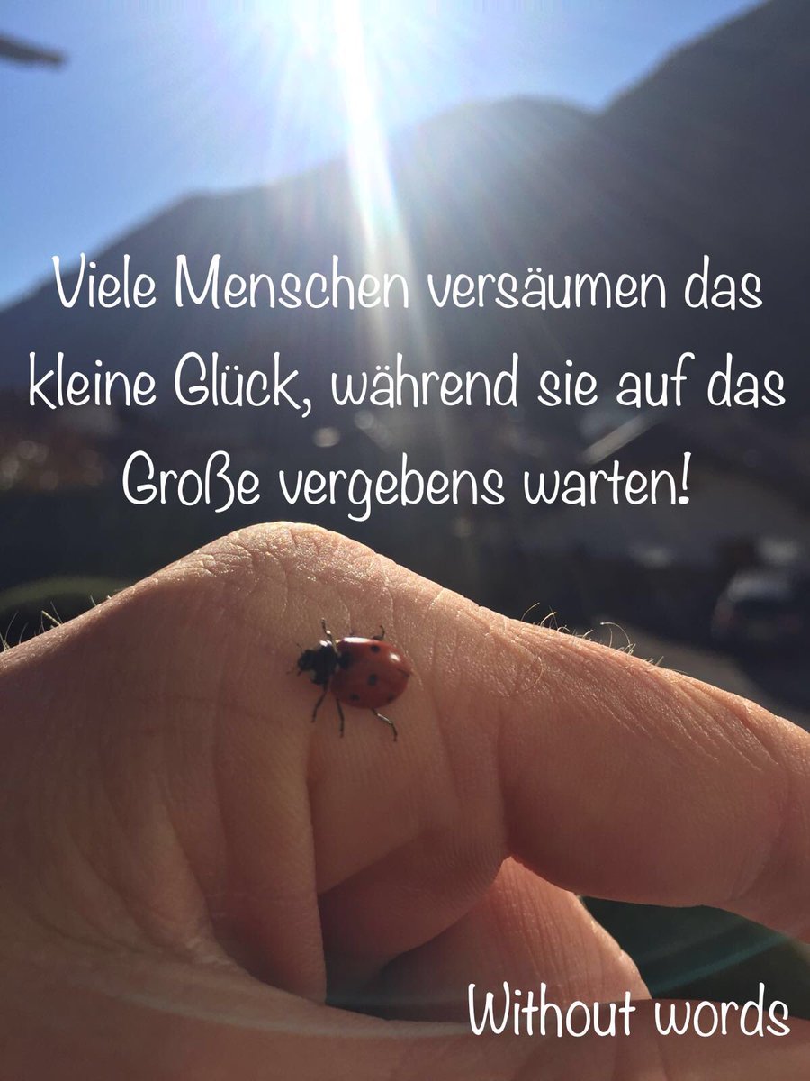 _without_words_'s tweet photo. #tierkommunikation #tiergespraeche #comunicazioneconanimali #mittierenreden #tierkommunikatorin #tiertelepathie #tiereverstehen https://t.co/tqPj8i1nk2