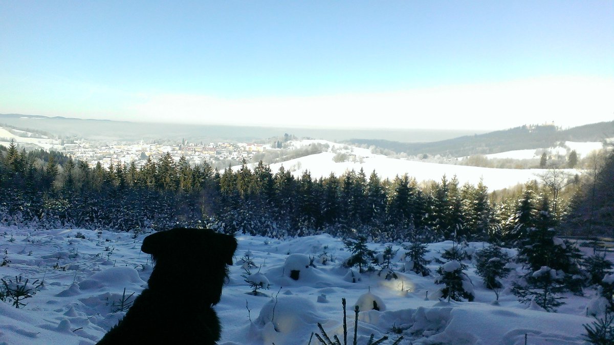 RustyCrew's tweet photo. Hezky den #sumava https://t.co/t9MEkxbmf1