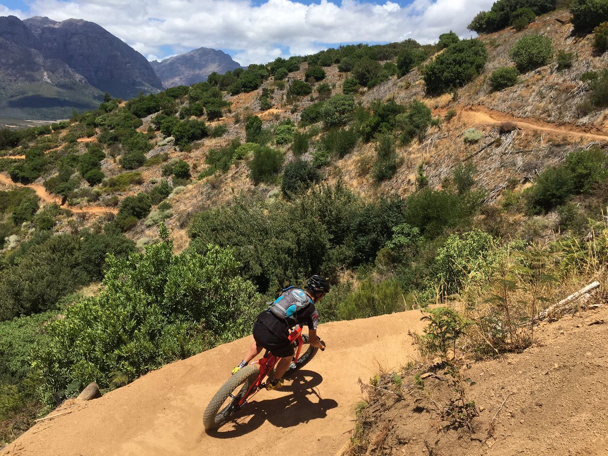 Same same but different and more frequent stops. 📸 <a href="/james_reid01/">James Reid</a> #fattread