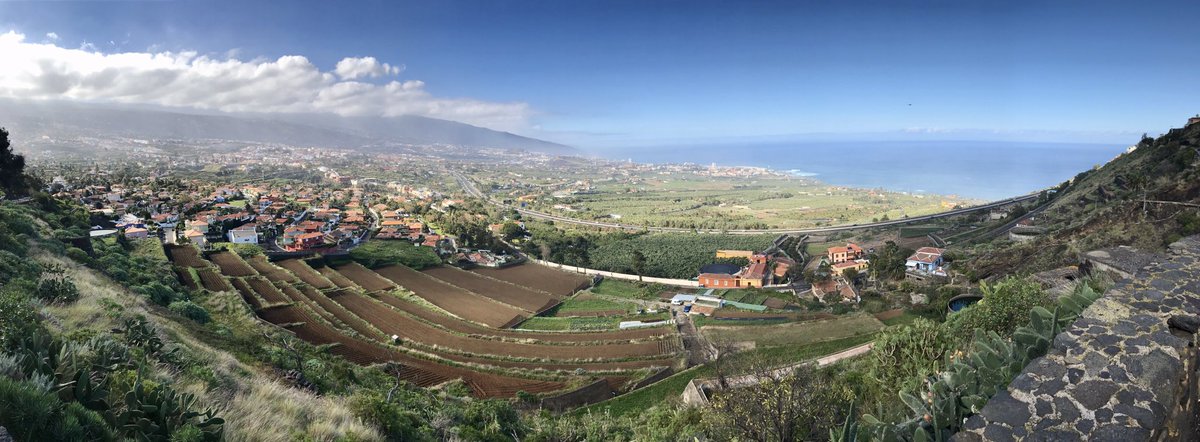 Great morning, great weather, great riding 🚴🏻☀️👍#Tenerife #Cycling #Roadbike