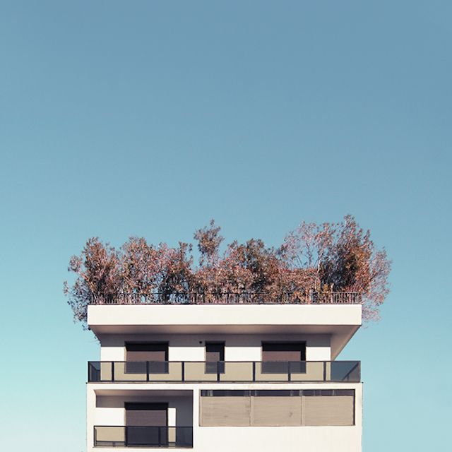 fubiz's tweet photo. Unknown Geometries Photography https://t.co/cuMTsi5c2C https://t.co/DXqg9WJTf8