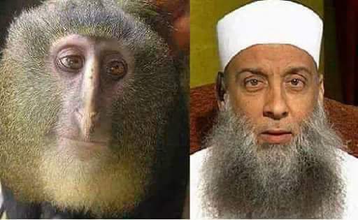 AliCologne's tweet photo. ..also ich finde schon das die Evolution bewiesen ist. #Religioten https://t.co/e3WHbyXRFd