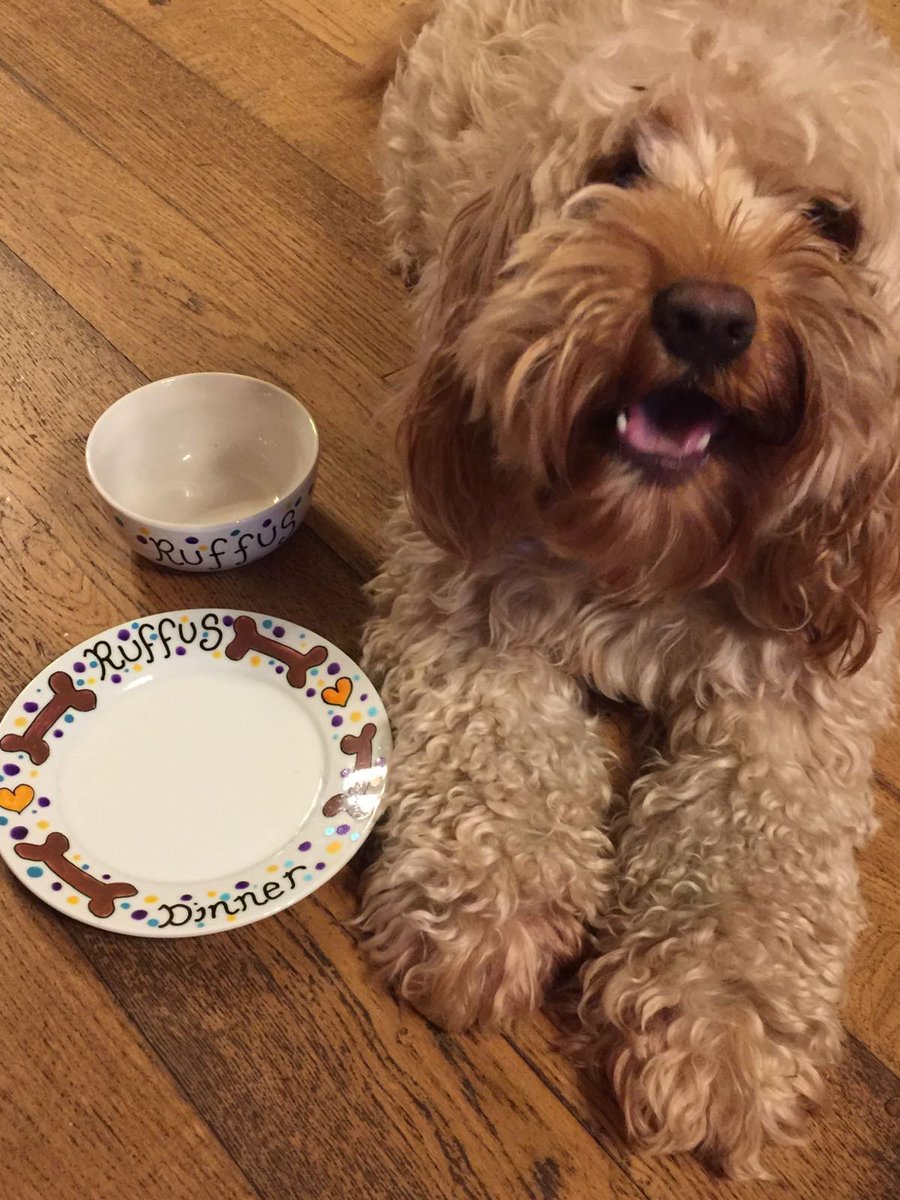 gingerwitch75's tweet photo. Making Personalised pet bowls and plates https://t.co/qjzrHZO7du