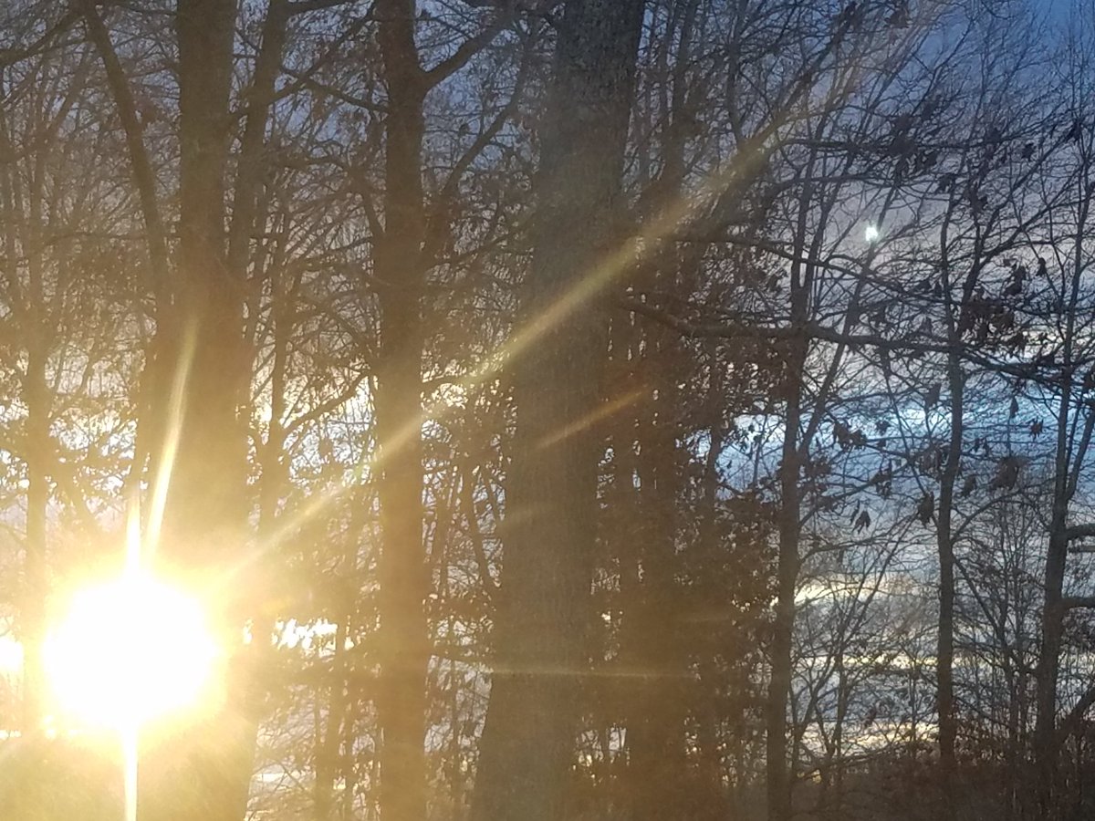 ANRider916's tweet photo. Good morning sunshine! #countrylife #sunshineandtrees #countrygirl #godisgood #hecreatedthis https://t.co/GifM5UiovF