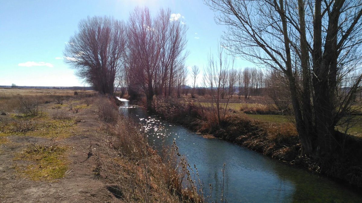 cropprotect_UPV's tweet photo. Parte del equipo Cropprotection se encuentra en Villarquemado. Laguna del Cañizar. https://t.co/pV2z1RfMi0