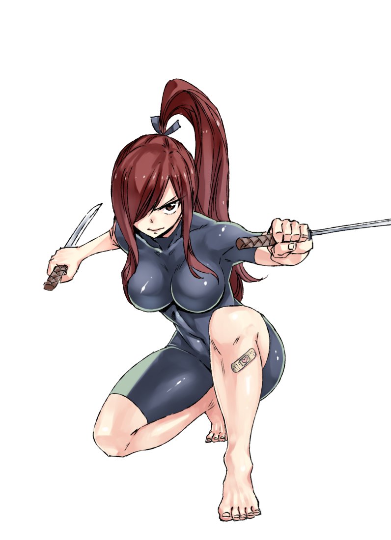erza scarlet sexy ninja