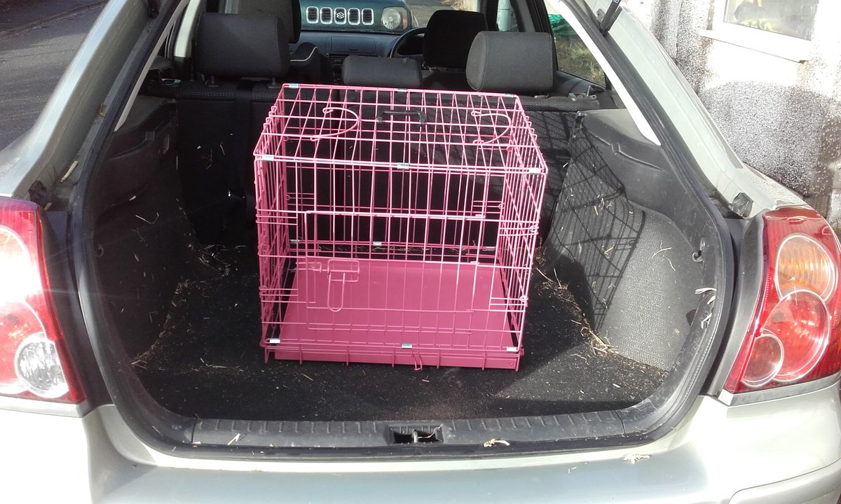 RobPentrefelin's tweet photo. We're off on a little road trip this afternoon and I don't think we'll be coming back alone???? 😉 #notgoats https://t.co/KTddIqpVWO