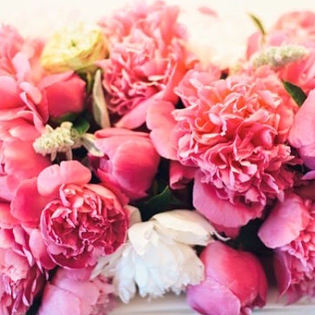 Hoping your Saturday feels a little like this🌷#livecolorfully #livepeacefully #liveinspired #remy <a href="/REMYCreations/">REMY Creations</a> remycreations.com