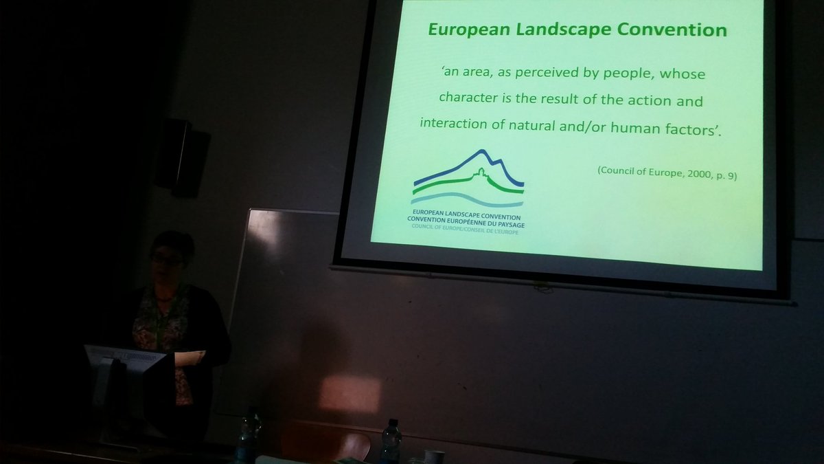 Sally Thomas presenting 'Beauty is in the ear of the beholder' #AIARG