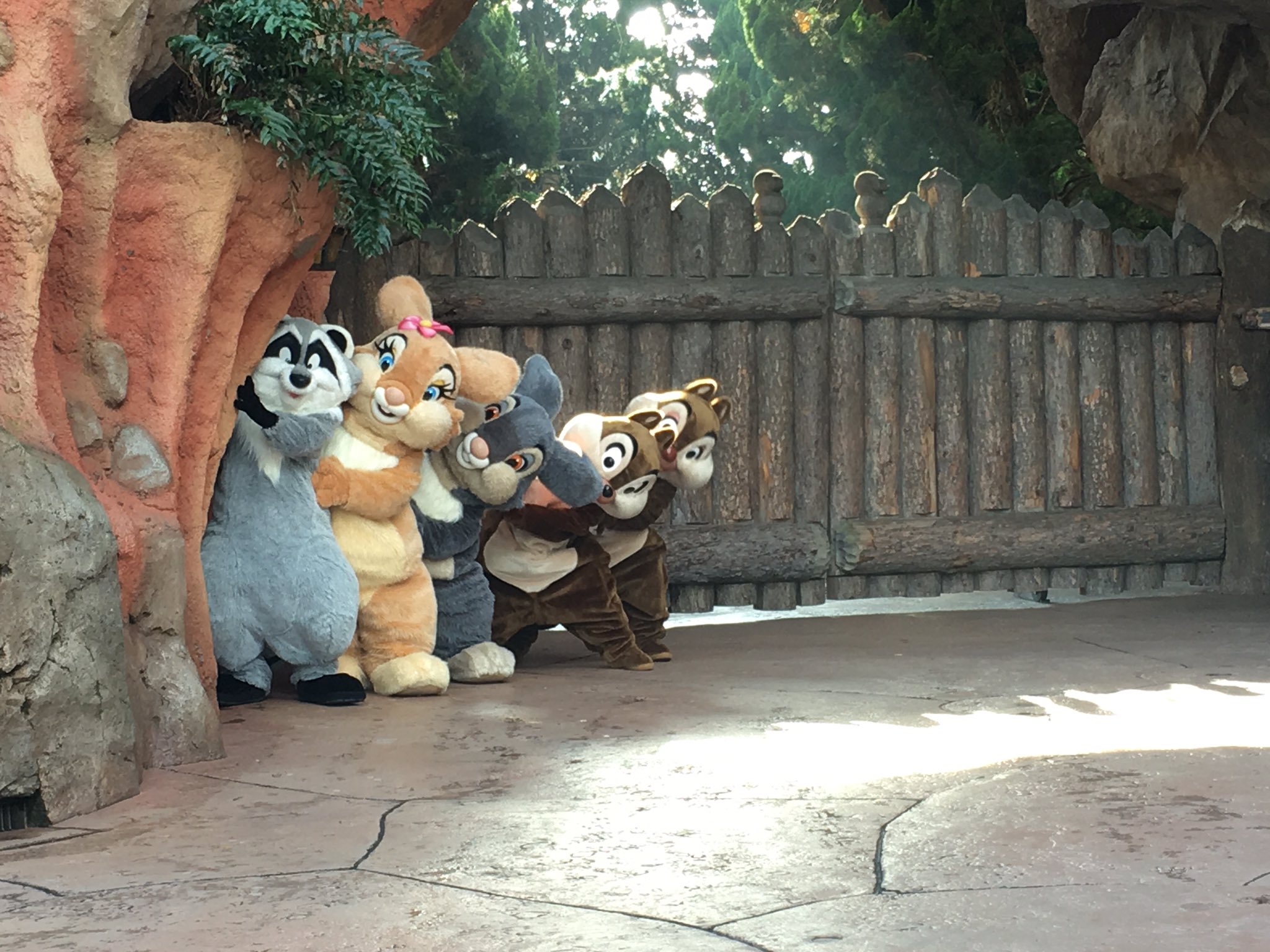 ディズニー好きさん大集合♡ (@WdEPE0TcO7jbb7R) / X