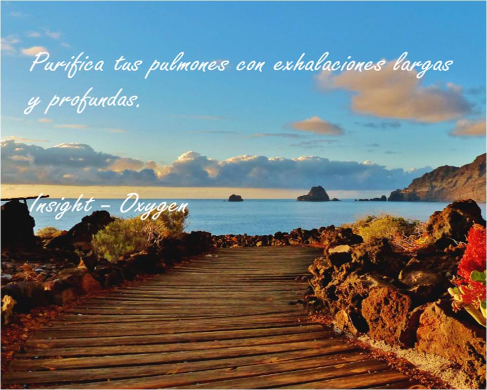 insightglobale's tweet photo. #Insight #Breathing #Oxygen #Wellness #Health #Exhale #Life #Lungs #Oxigeno #Respiracion #Exhalar #Aire #Salud #Bienestar #Vida #Saude https://t.co/b8jdRDdnEO