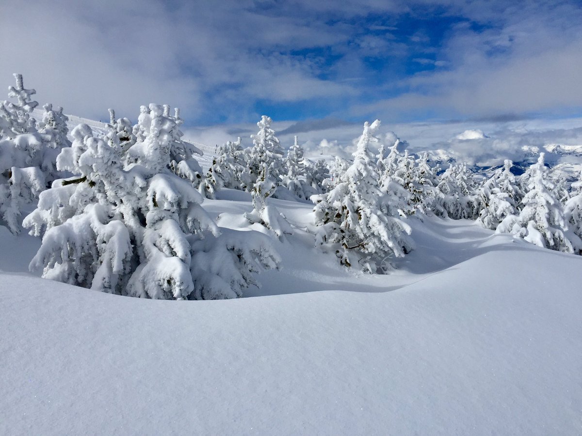 alexmegapc's tweet photo. No és Finlandia, ni Suiza és la #molina #pirineus #cerdanya historica nevads!! #324eltemps @SnowLaMolina https://t.co/OsfYKwJHVn