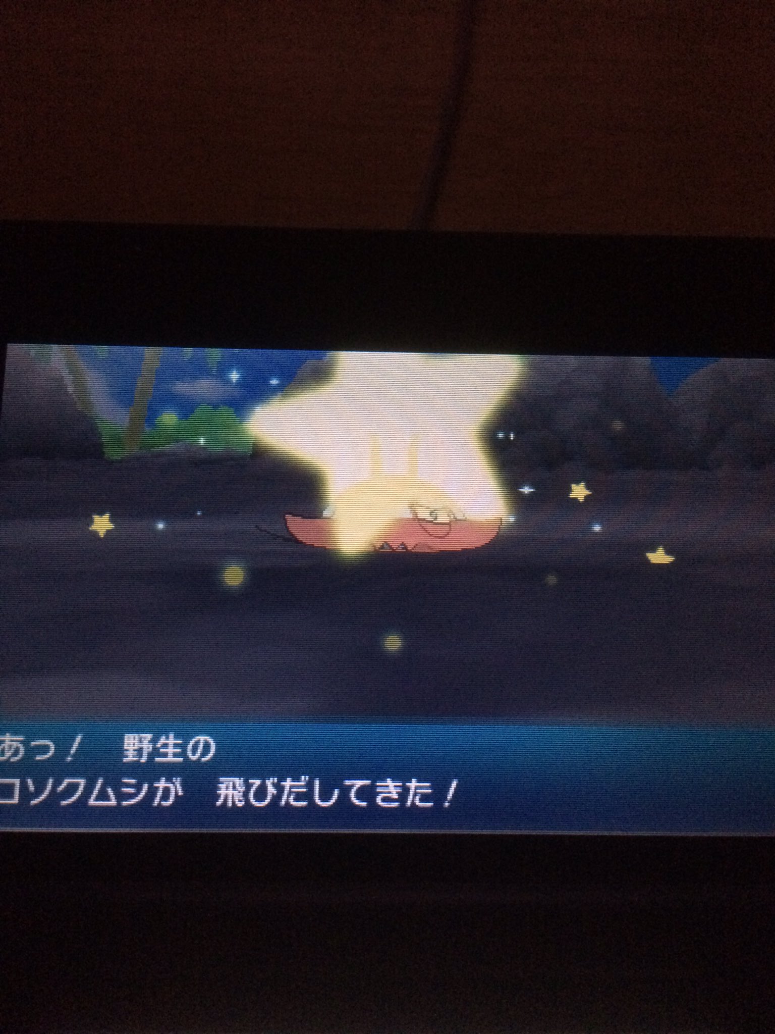 炎龍 Enryu Eitaeita Eita おめでとう御座います おおっ 色違いコクソムシにはこの様な粘り方もあるのですね Twitter