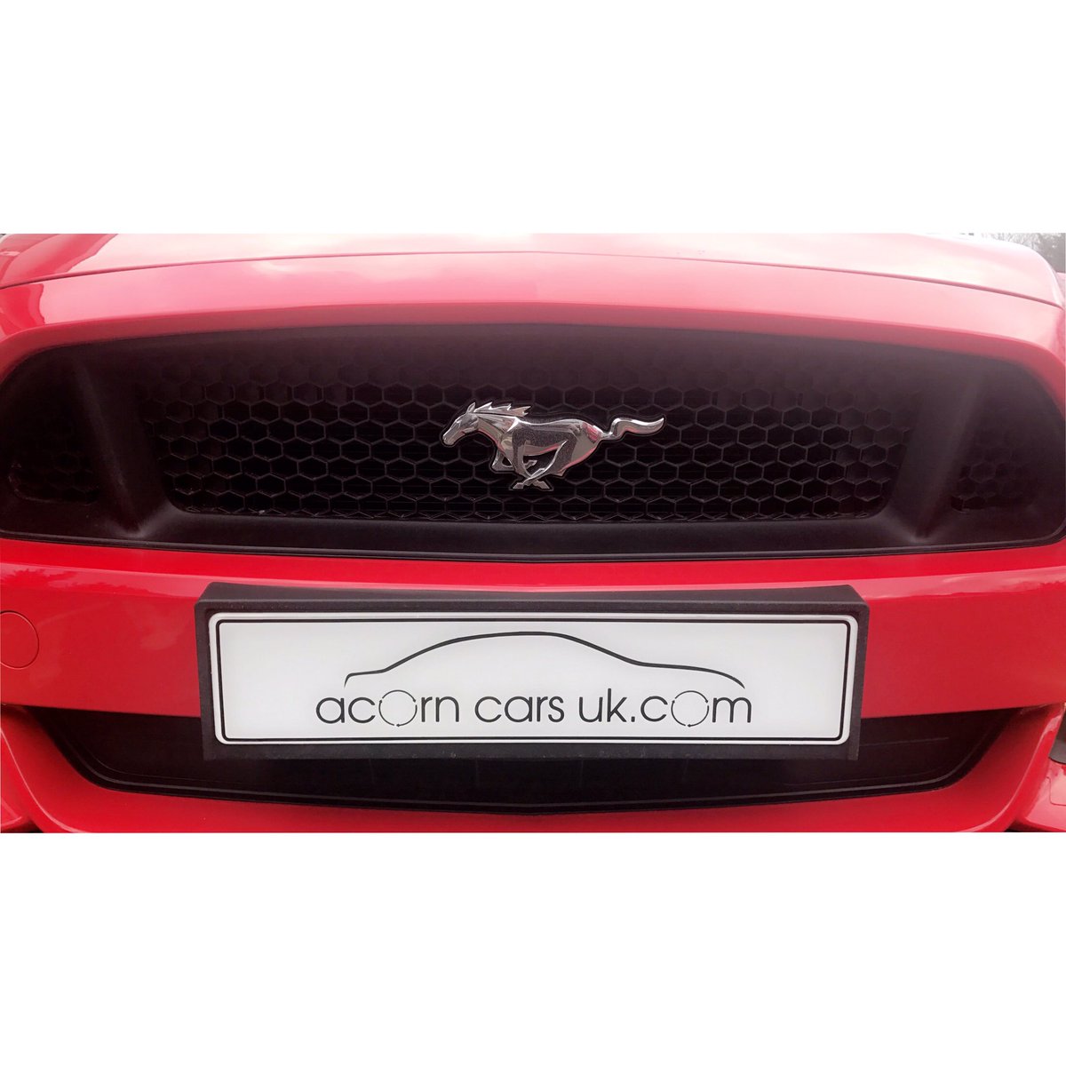 AcornCars_UK's tweet photo. https://t.co/q46fHjZUAS 🐎 #ford #mustang #fastbackGT #london https://t.co/eG8Vi9ASFV