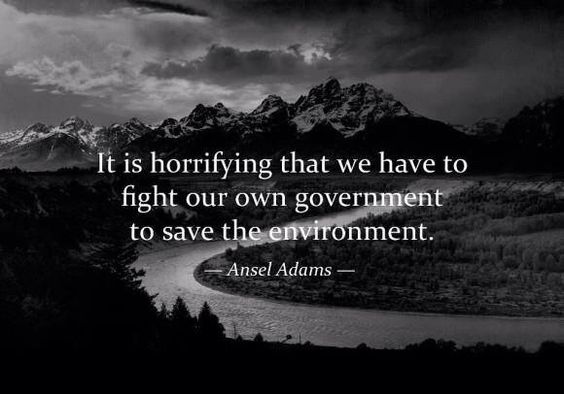 LadyNaturalist's tweet photo. This: https://t.co/LQ6esbr3UW