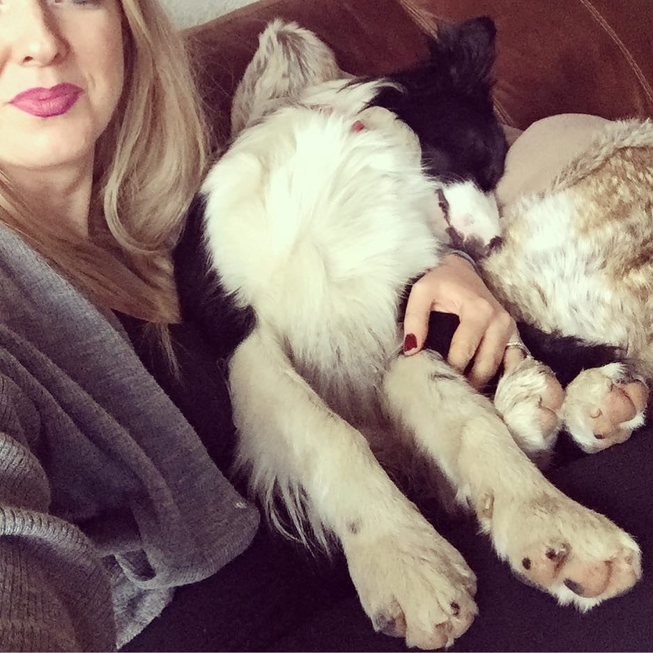 When your baby is passed OUT on you after your morning adventures together. #bordercollie … ift.tt/2jzZmKF