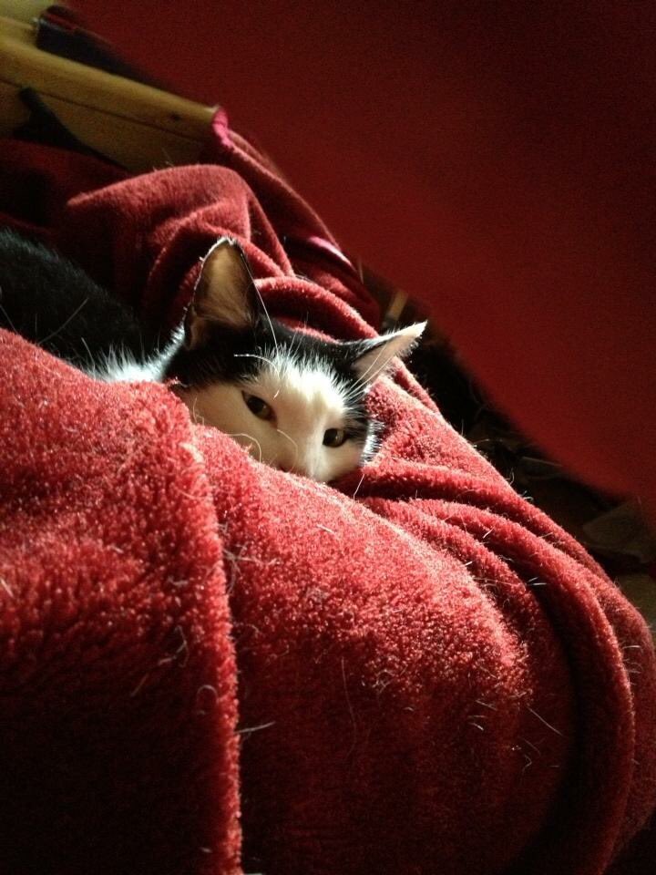 Messerimrucken Hashtag On Twitter