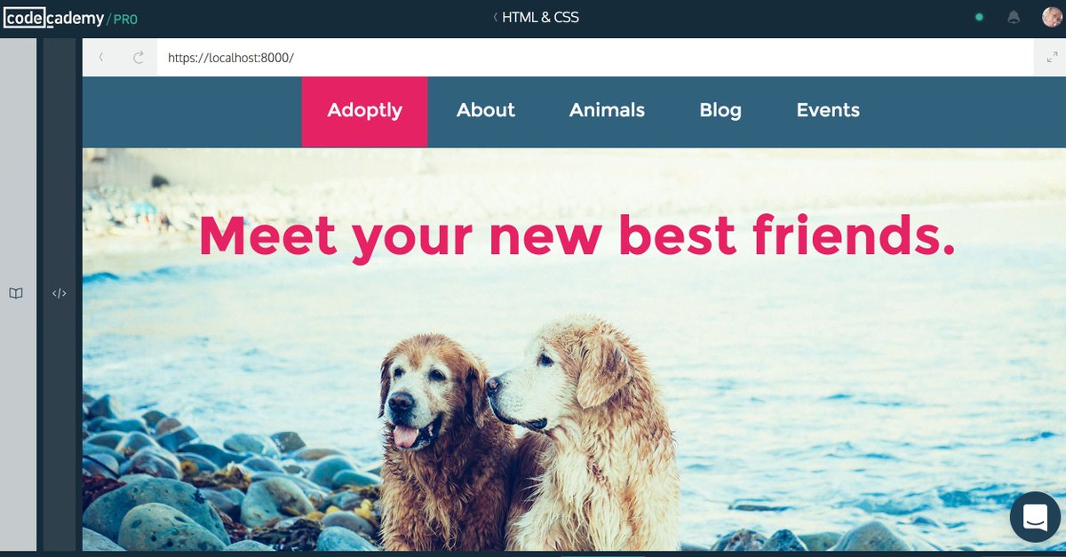reid_lo's tweet image. Completed Adoptly on #Codecademypro 😊 #html #css #learnwebdev #learntocode #WomenWhoCode #coding #frontendwebdevelopment #codenewbie
