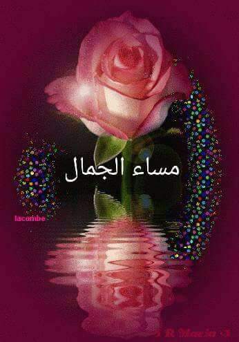 الوسيم (@elaatimoha) on Twitter photo 