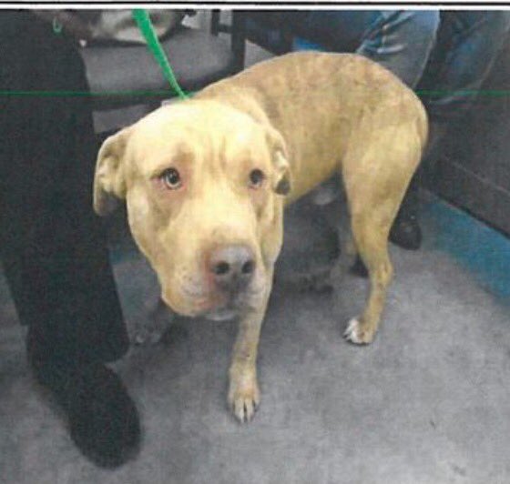 Susie Davis tweet media