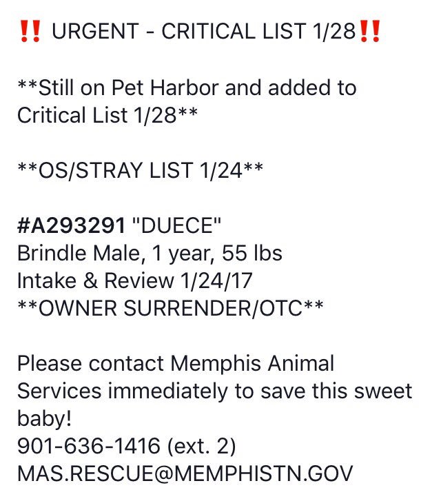 Susie Davis tweet media