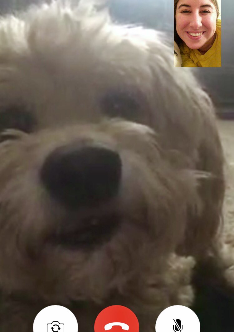 Jennifer Schmidt tweet media