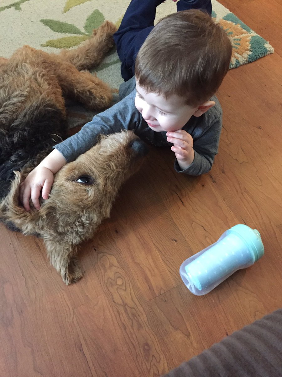AmandaMoss1090's tweet photo. A look of love 💙🐶#bestfriends#reidandolivia https://t.co/uFWEw4GUIT