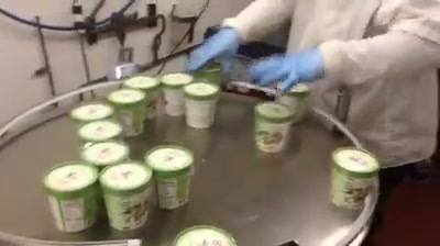 Al Gelato Chicago tweet media