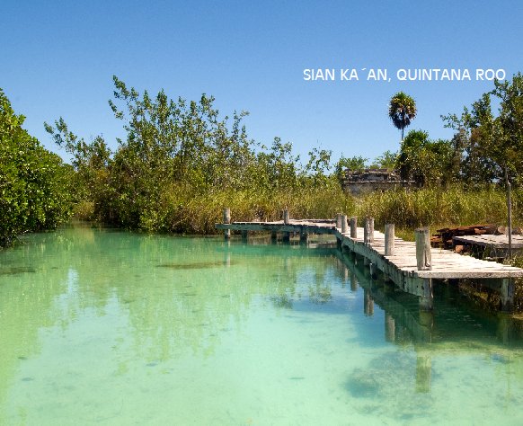 VisitMex's tweet photo. Bañado por aguas del Mar Caribe, #QuintanaRoo ofrece a sus visitantes una belleza natural imponente #ViajemosTodosPorMexico @CaribeMexico https://t.co/2N5oQ50qKH