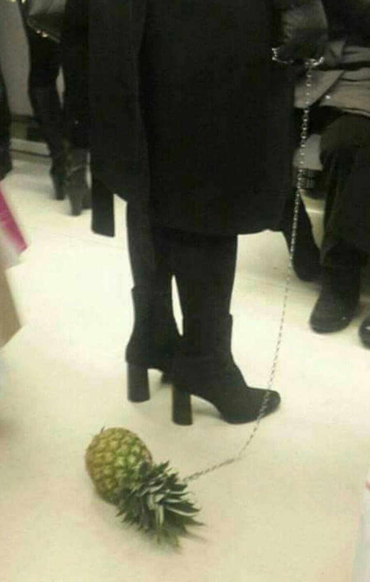 13thepurevil's tweet photo. My new pet 🍍 #pineappleincident https://t.co/RewAYJGdnb