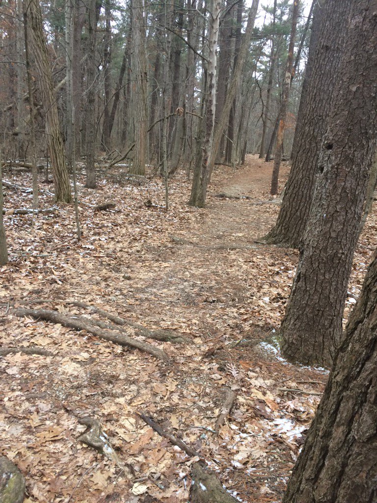 wdspanish's tweet image. Stay on the trail of your goals. One right step at a time is the way to go. State park 3. #WDPRIDE, #hikestrong