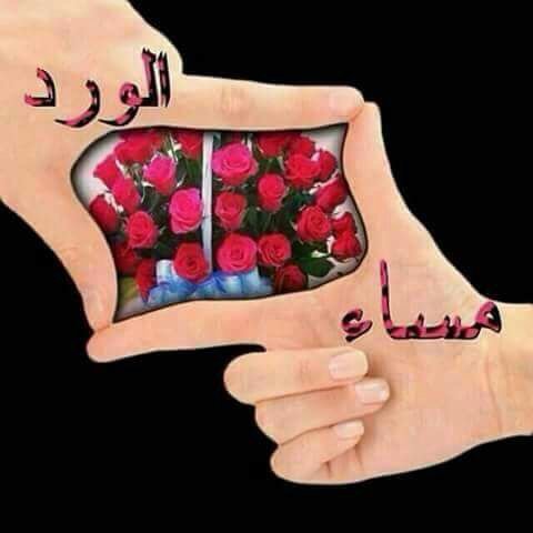 @AmiraSosia <a href="/laydinoor/">Noura</a> <a href="/S_A_F_89/">Saja Dashti</a> @amadicellmega2 @08mosa15 <a href="/BasoutiSabrina/">🌻صبرينة🌻</a> @amtareqq3 <a href="/kMDQhAfB5Bvhgb5/">حلا الفلسطينية</a>