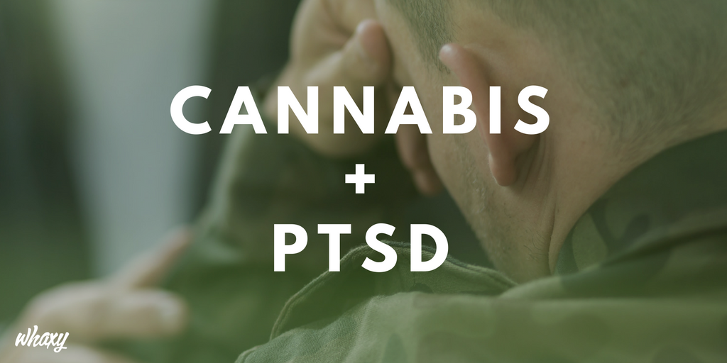 ThinkTankExile's tweet photo. How Effective Is Cananbis for Treating PTSD? Get the Facts https://t.co/yeItnpnyMQ https://t.co/wnfnNhOkAU