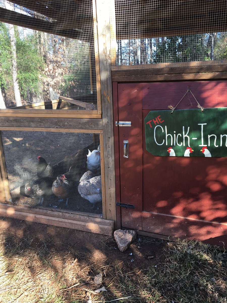 ProgEdNet's tweet photo. There ain't nobody here but us chickens...@HighMeadowsGA #NIPEN4.0 https://t.co/waEyFcVB9L