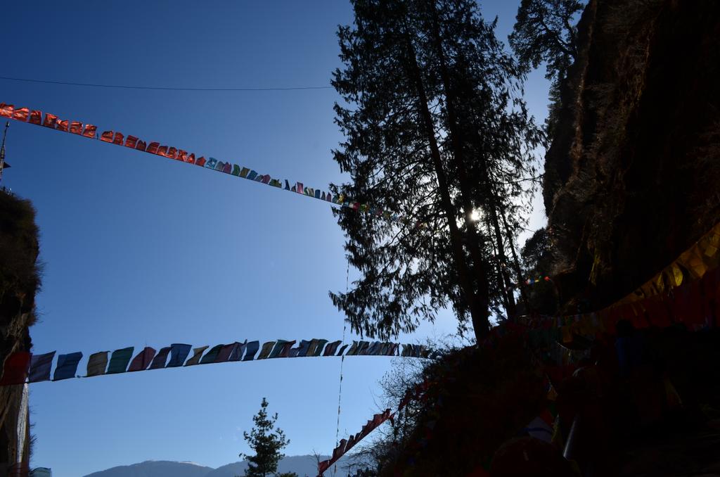 worldtourplan09's tweet photo. Praying for all living being
https://t.co/HPRKE1ogzP
#Bhutan #windflag #travel #tourism #worldtourplan #happiness #visitbhutan #wanderlust https://t.co/1EoljBhyS0