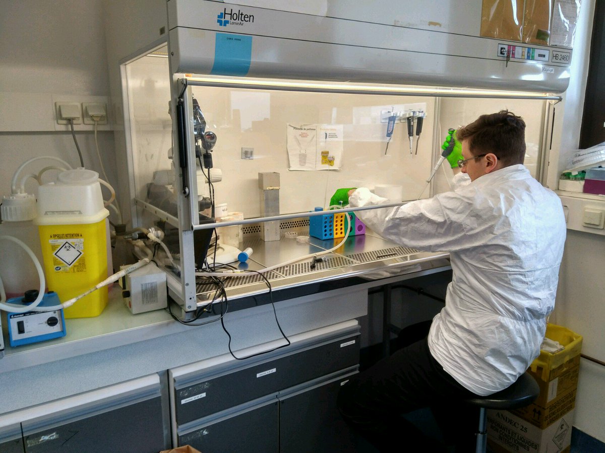 mcer33's tweet photo. Enjoyed #COST #EMFMED #STSM in Inst Gustave Roussy(France) analyzing chemiluminescence from cells induced by short intense electric pulses. https://t.co/XhDoYgQooZ