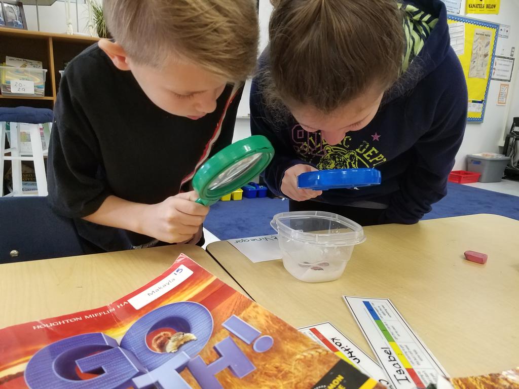 FSEtracyteach's tweet photo. Why is the Statue of Liberty green? 2nd Eagles will tell you it's a chemical reaction of copper and acid rain, bubbles & all #sciencesoars https://t.co/VAnA6BwDUP